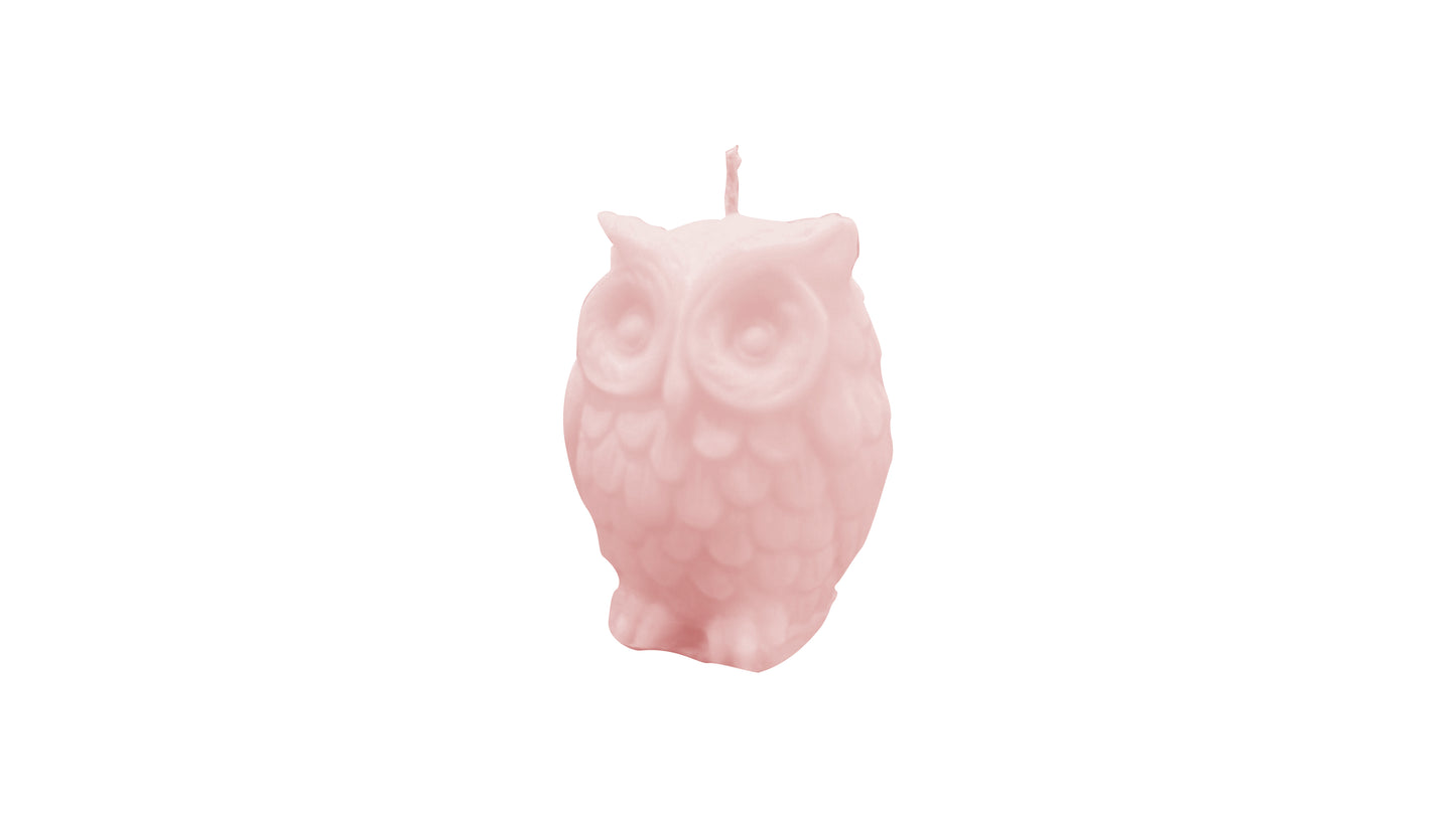 Mini Owl Charm Soy Wax Candle