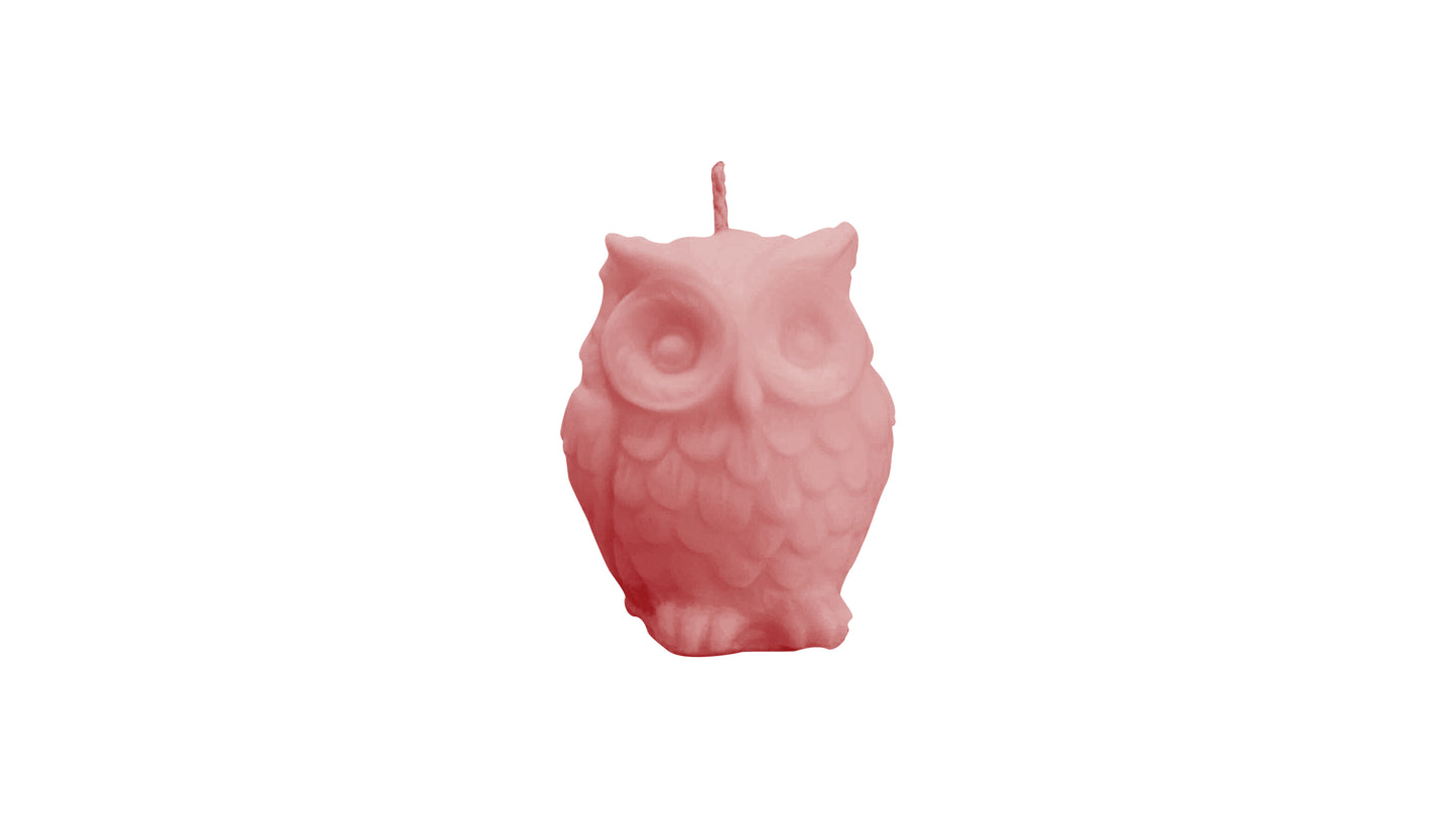 Mini Owl Charm Soy Wax Candle