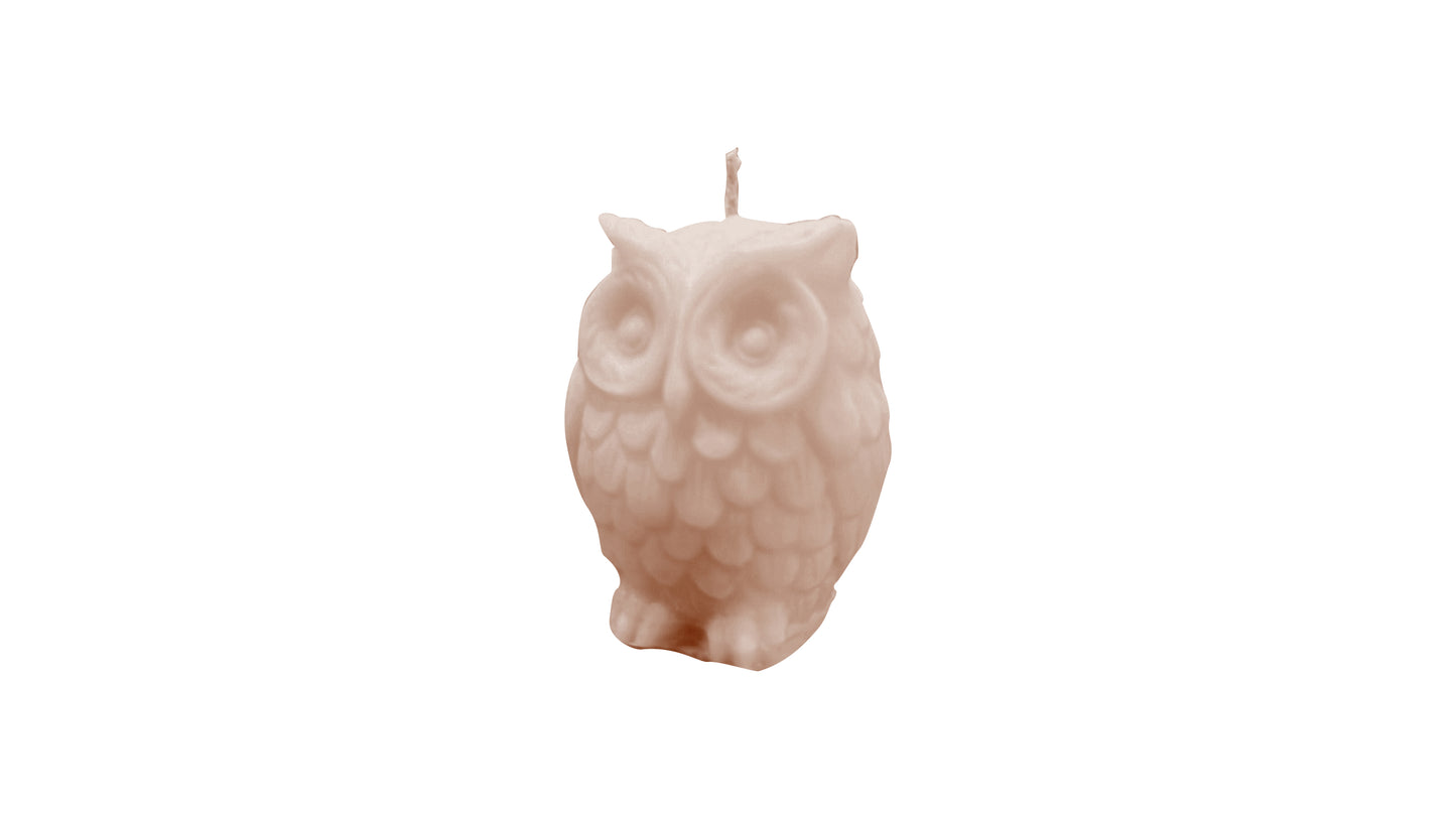 Mini Owl Charm Soy Wax Candle
